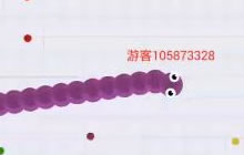 贪吃蛇大作战为什么有的玩家一进游戏蛇身就长