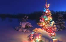 2016球球大作战圣诞节会出什么光环孢子皮肤