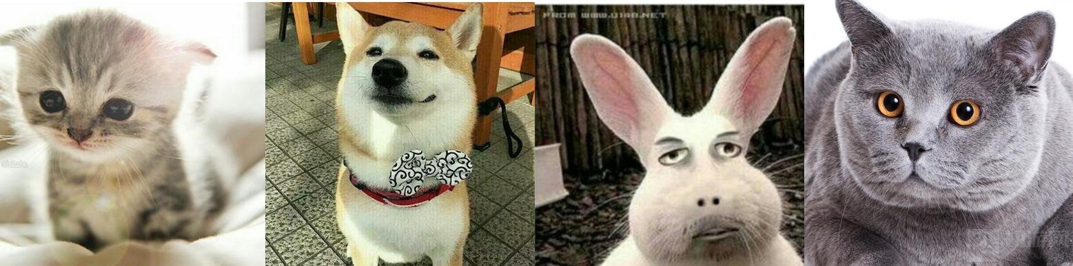 球球大作战头像审核100%通过要求是什么说明