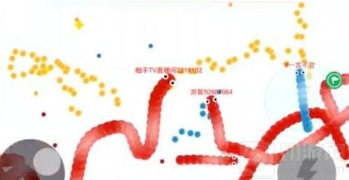 贪吃蛇大作战团战模式战术讲解 团战发育解析