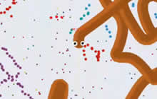 贪吃蛇大作战墨枫解说 无尽模式轻松霸屏