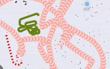 贪吃蛇大作战小华熊解说 无尽模式玉兔万分