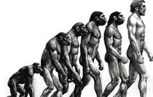 炉石传说达尔文进退化萨卡组分享 新版娱乐