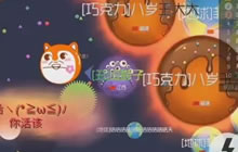 全是套路18期：来跟我一起套路吧 新春祝福版