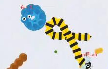 贪吃蛇大作战怎么刷出新高分 刷高分技巧讲解