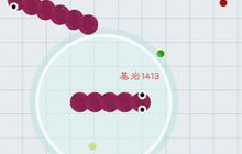 贪吃蛇大作战为什么皮肤换了不显示 解决办法