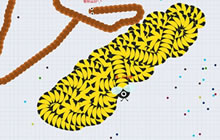 贪吃蛇大作战一起联机的是机器人还是真人呢