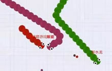 贪吃蛇大作战限时模式花式碰瓷 成功得高分