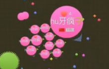 球球大作战浮生：生存模式怎么吃更多的人