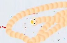 贪吃蛇大作战怎么击杀敌人 新手入门必知常识