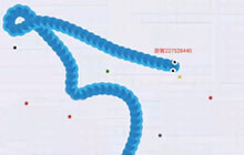 贪吃蛇大作战神坑解说无尽模式 我就是是第一