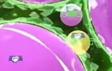 球球大作战双人配合霸屏巨无霸操作技巧分享