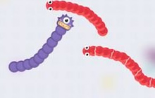 贪吃蛇大作战控BOSS怎么玩 高端技巧助你杀大蛇