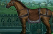 最新版本卧龙吟马场已解锁 战马系统全面开启