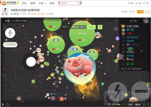 帅气队长董大鹏加盟虎牙 因为球球有了爱情和事业