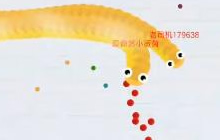 贪吃蛇大作战小贤菌 和队友配合好才是王道