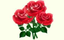 球球大作战小束红玫瑰怎么获取 里面有什么