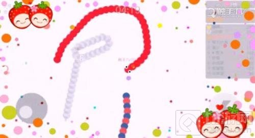 贪吃蛇大作战排位攻略 怎么快速上王者技巧