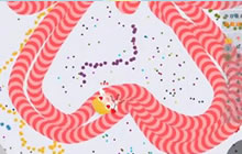 贪吃蛇大作战无尽7万5 画个爱心表白一下吧