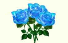 球球大作战小束蓝玫瑰怎么得 里面有什么奖励