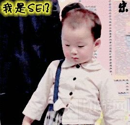 球球大作战wuli民国表情包 斗图不可少的表情