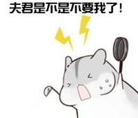 球球大作战萌萌哒仓鼠表情包 就是要你爱不释手