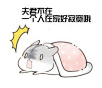 球球大作战萌萌哒仓鼠表情包 就是要你爱不释手