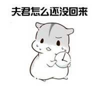 球球大作战萌萌哒仓鼠表情包 就是要你爱不释手