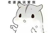 球球大作战萌萌哒仓鼠表情包 就是要你爱不释手