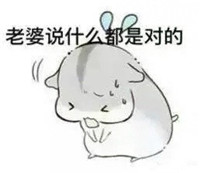 球球大作战萌萌哒仓鼠表情包 就是要你爱不释手