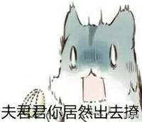 球球大作战萌萌哒仓鼠表情包 就是要你爱不释手