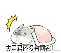 球球大作战萌萌哒仓鼠表情包 就是要你爱不释手