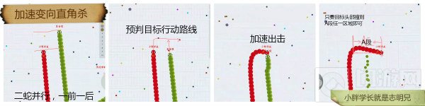 贪吃蛇大作战18种杀敌技巧分享 助你秒杀对手