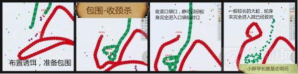 贪吃蛇大作战18种杀敌技巧分享 助你秒杀对手