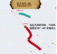 贪吃蛇大作战贴脸杀怎么操作 贴脸杀图文解析