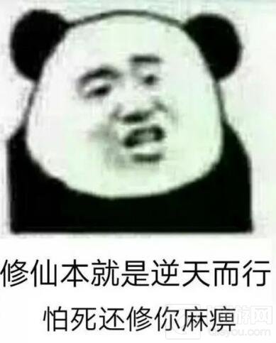 球球大作战修仙是什么梗 修仙表情包高清下载