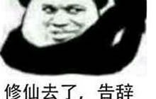 球球大作战修仙是什么梗 修仙表情包高清下载