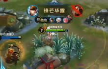 王者荣耀Nice解说赵云玩法 无坚不摧杀全场