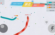 贪吃蛇大作战昱解说排位模式 苦战为何不升星