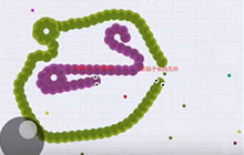 贪吃蛇大作战猫子解说 猥琐发育稳稳拿第一