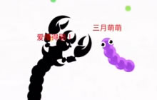 贪吃蛇大作战什么版本有蝎子皮肤问题解析