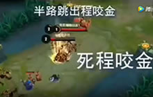 王者荣耀搞笑视频分享 一人饮酒醉排位十连跪