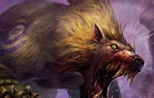 炉石传说礼赞全汇总 暴雪没有意料到的结果