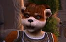 炉石传说金币兑换战网点 可用于购买新卡包