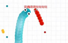 贪吃蛇大作战双蛇之间的对决 敌方还有5秒碾碎它