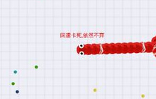 贪吃蛇大作战蛇身的秘密 巧用蛇头蛇尾蛇身