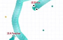 贪吃蛇大作战双排如何合作 双人合作实况视频