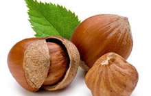 球球大作战榛果任务怎么过 怎么完成榛果活动