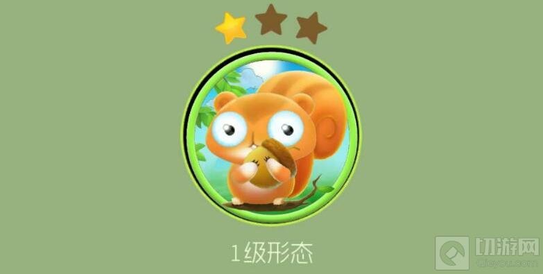 球球大作战波吉松鼠长什么样子 波吉松鼠图片