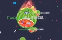 中国好队友 球球大作战主播清风护你周全带你飞